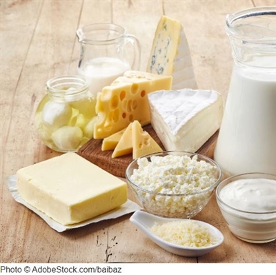 dairy products